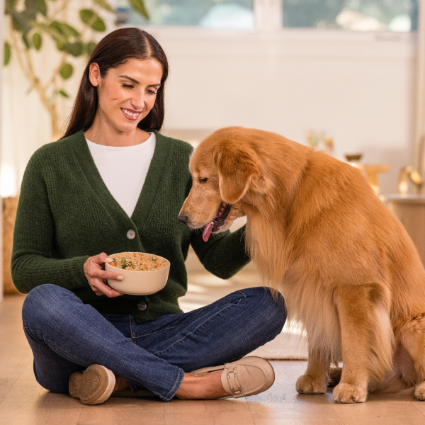 a woman feeding her dog